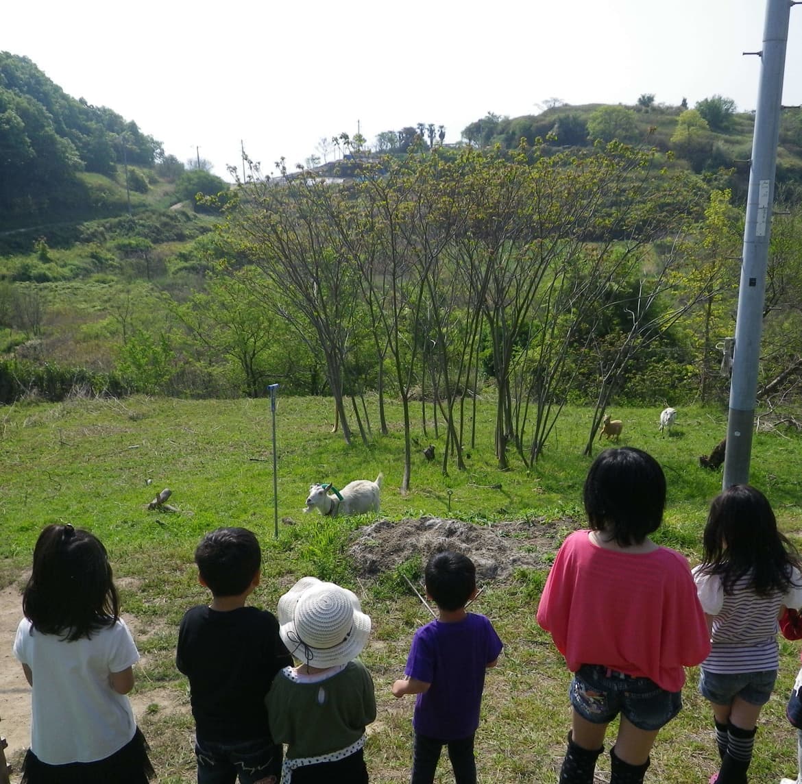 岡山県瀬戸内市牛窓町のペンションくろしお丸のヤギと子どもたち