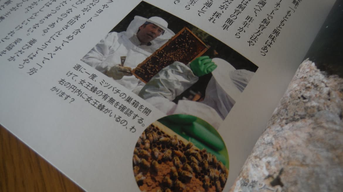 カヌーワールド